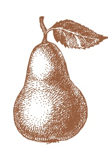 PAIR Systems Logo
